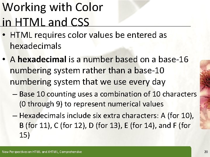 Working with Color in HTML and CSS XP • HTML requires color values be