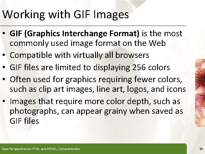 Working with GIF Images XP • GIF (Graphics Interchange Format) is the most commonly