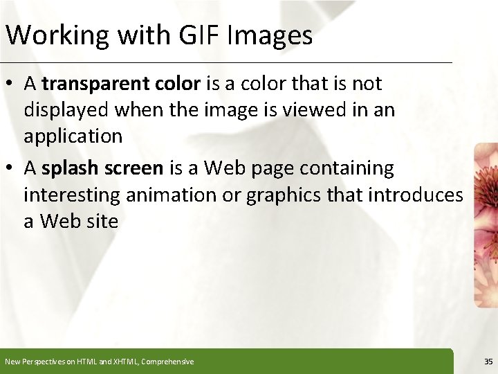 Working with GIF Images XP • A transparent color is a color that is