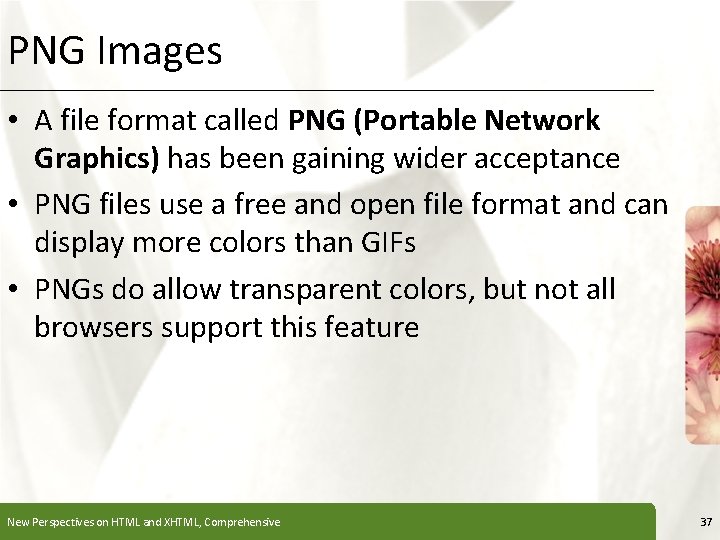 PNG Images XP • A file format called PNG (Portable Network Graphics) has been