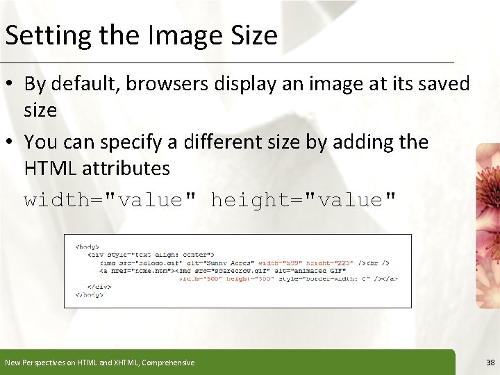 Setting the Image Size XP • By default, browsers display an image at its