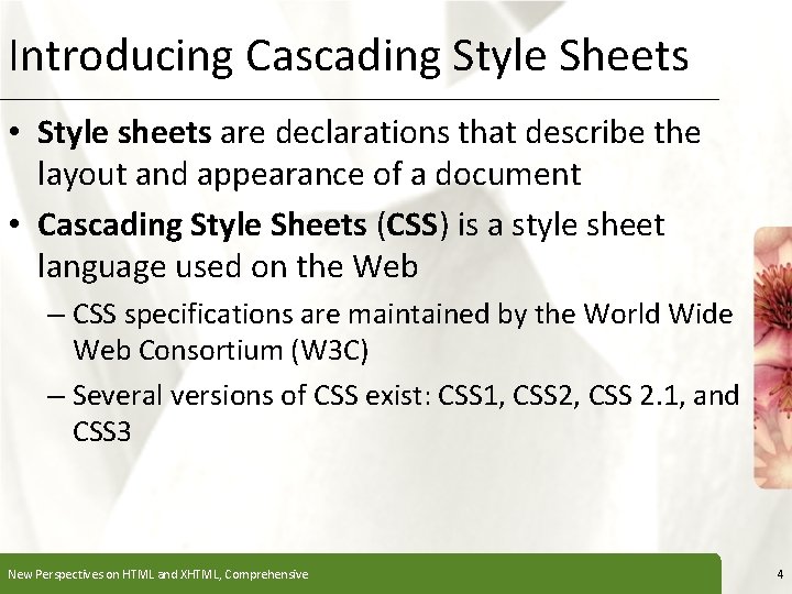 Introducing Cascading Style Sheets XP • Style sheets are declarations that describe the layout