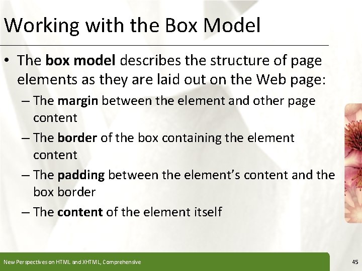 Working with the Box Model XP • The box model describes the structure of