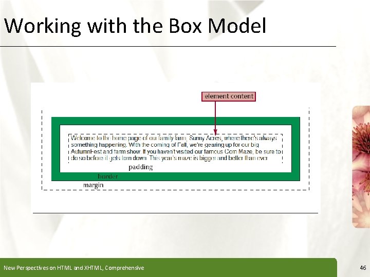 Working with the Box Model New Perspectives on HTML and XHTML, Comprehensive XP 46