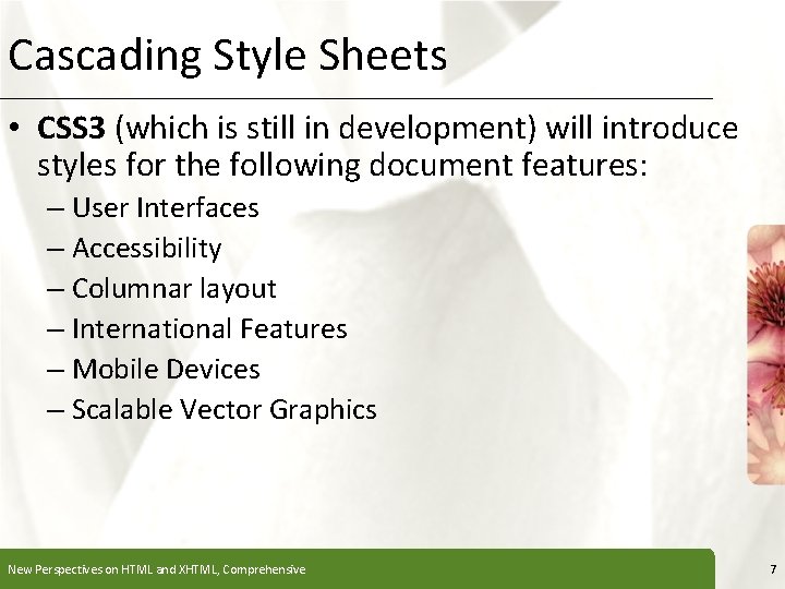 Cascading Style Sheets XP • CSS 3 (which is still in development) will introduce