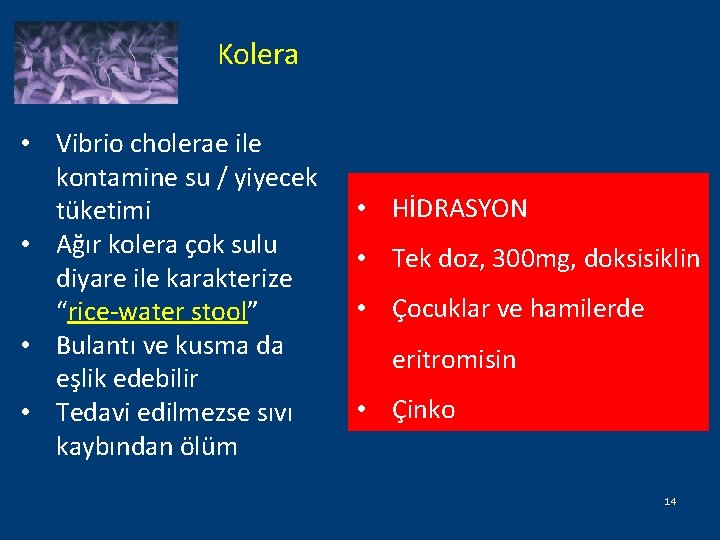 Kolera • Vibrio cholerae ile kontamine su / yiyecek tüketimi • Ağır kolera çok