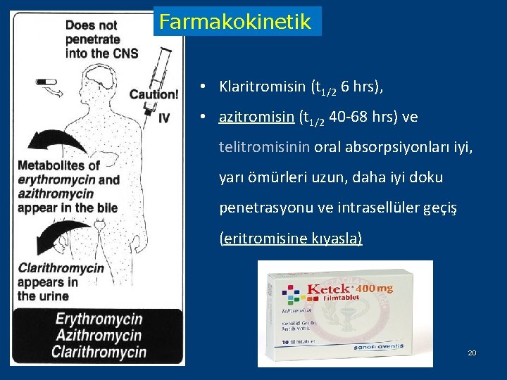 Farmakokinetik • Klaritromisin (t 1/2 6 hrs), • azitromisin (t 1/2 40 -68 hrs)