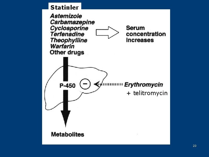 Statinler + telitromycin 23 