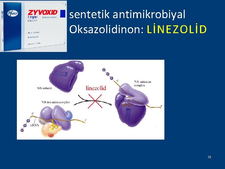 sentetik antimikrobiyal Oksazolidinon: LİNEZOLİD 31 