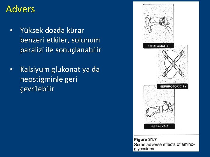 Advers • Yüksek dozda kürar benzeri etkiler, solunum paralizi ile sonuçlanabilir • Kalsiyum glukonat