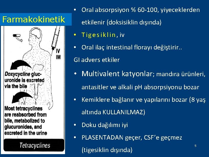  • Oral absorpsiyon % 60 -100, yiyeceklerden Farmakokinetik etkilenir (doksisiklin dışında) • T