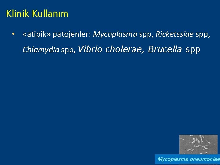 Klinik Kullanım • «atipik» patojenler: Mycoplasma spp, Ricketssiae spp, Chlamydia spp, Vibrio cholerae, Brucella