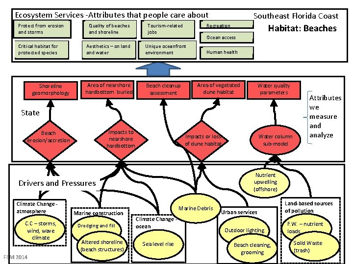 Ecosystem Services -Attributes that people care about Protect from erosion and storms Critical habitat