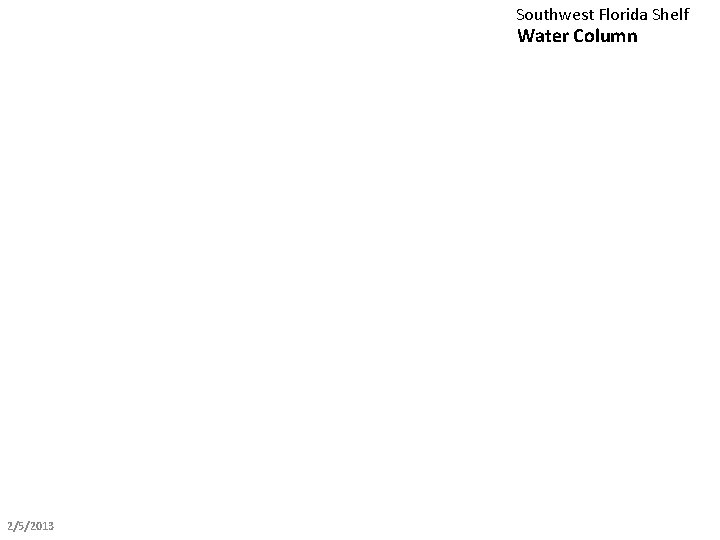 Southwest Florida Shelf Water Column 2/5/2013 