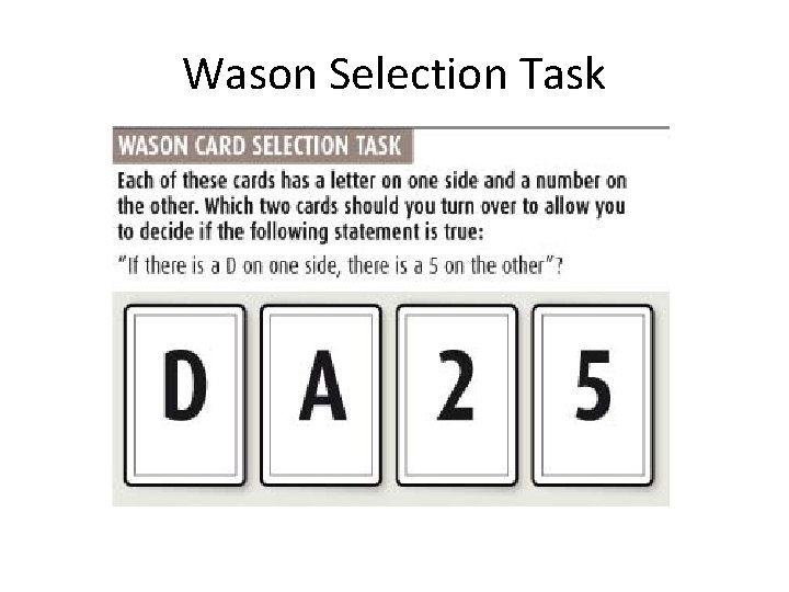 Wason Selection Task 
