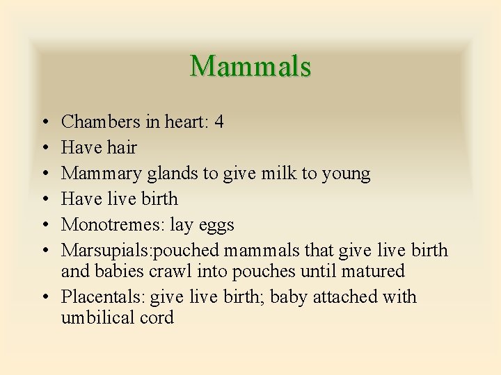 Mammals • • • Chambers in heart: 4 Have hair Mammary glands to give