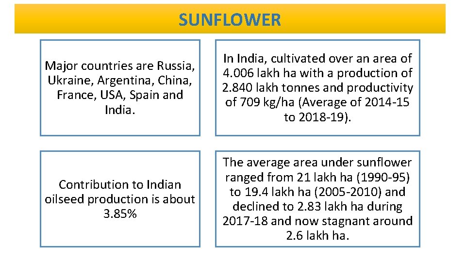SUNFLOWER Major countries are Russia, Ukraine, Argentina, China, France, USA, Spain and India. In