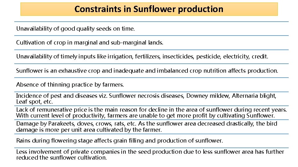 Constraints in Sunflower production Unavailability of good quality seeds on time. Cultivation of crop