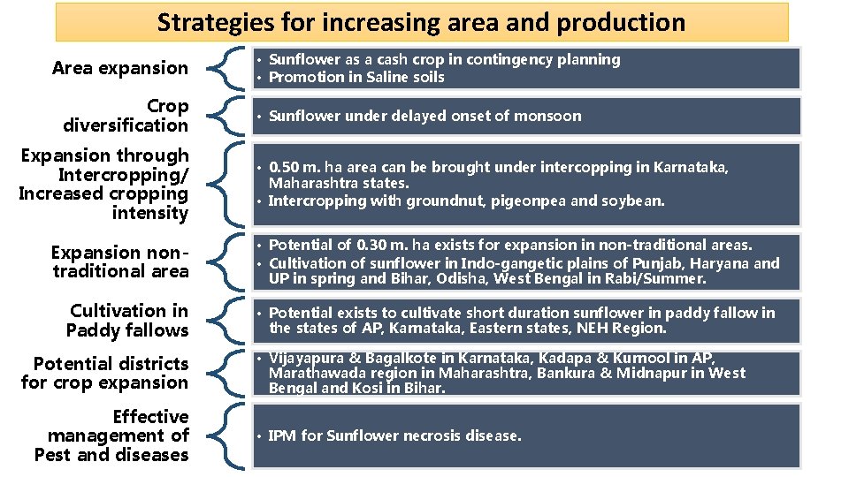 Strategies for increasing area and production Area expansion Crop diversification Expansion through Intercropping/ Increased