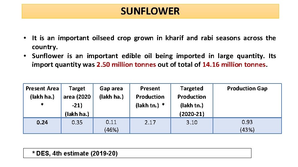 SUNFLOWER • It is an important oilseed crop grown in kharif and rabi seasons