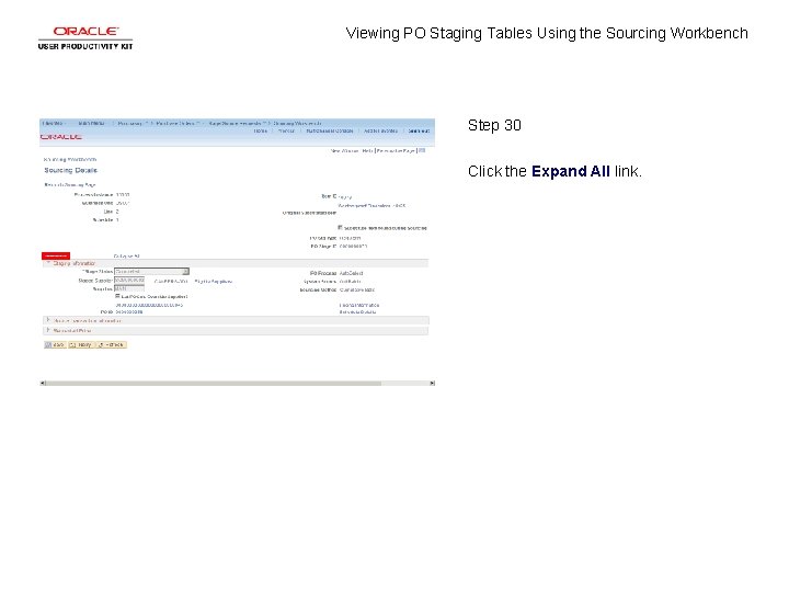 Viewing PO Staging Tables Using the Sourcing Workbench Step 30 Click the Expand All
