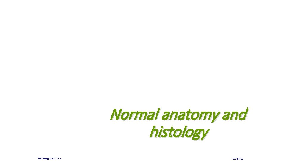 Normal anatomy and histology Pathology Dept, KSU GIT Block 