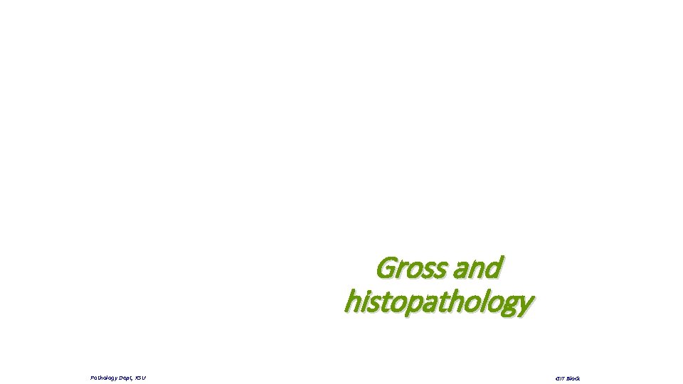 Gross and histopathology Pathology Dept, KSU GIT Block 