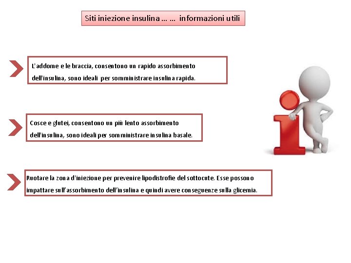 Siti iniezione insulina … … informazioni utili L'addome e le braccia, consentono un rapido