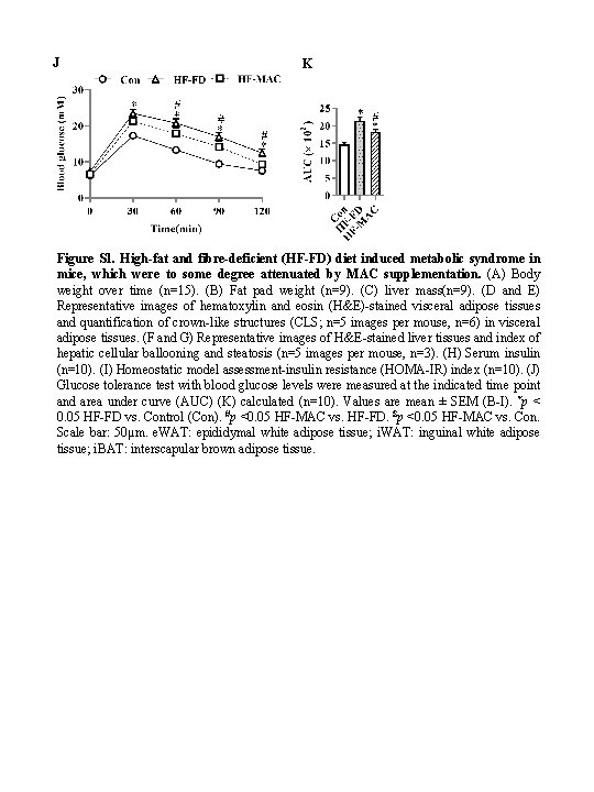 J K Figure S 1. High-fat and fibre-deficient (HF-FD) diet induced metabolic syndrome in