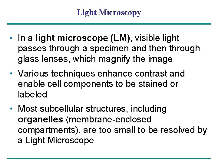 Light Microscopy • In a light microscope (LM), visible light passes through a specimen