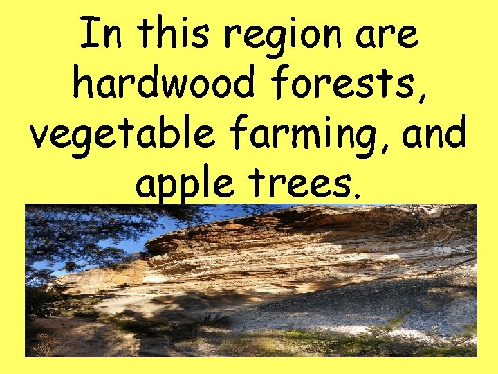 In this region are hardwood forests, vegetable farming, and apple trees. 13 