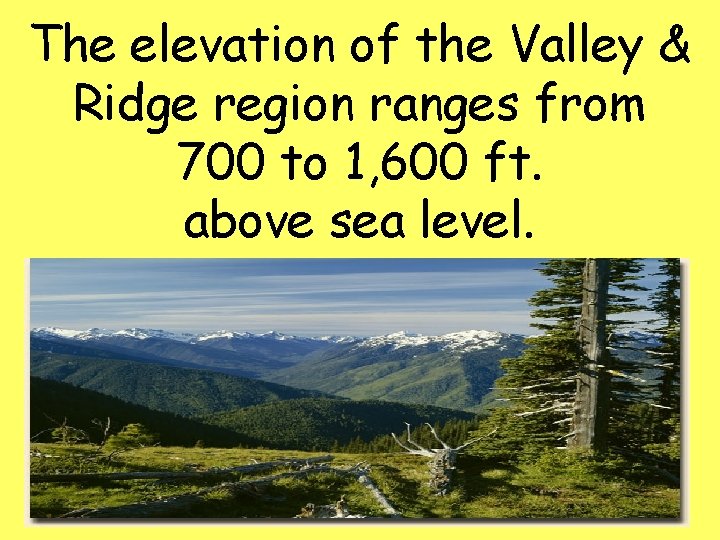 The elevation of the Valley & Ridge region ranges from 700 to 1, 600