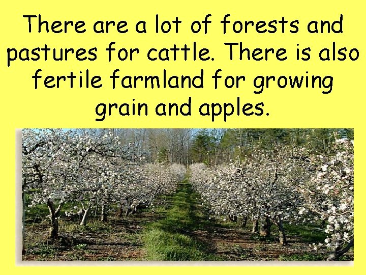 There a lot of forests and pastures for cattle. There is also fertile farmland