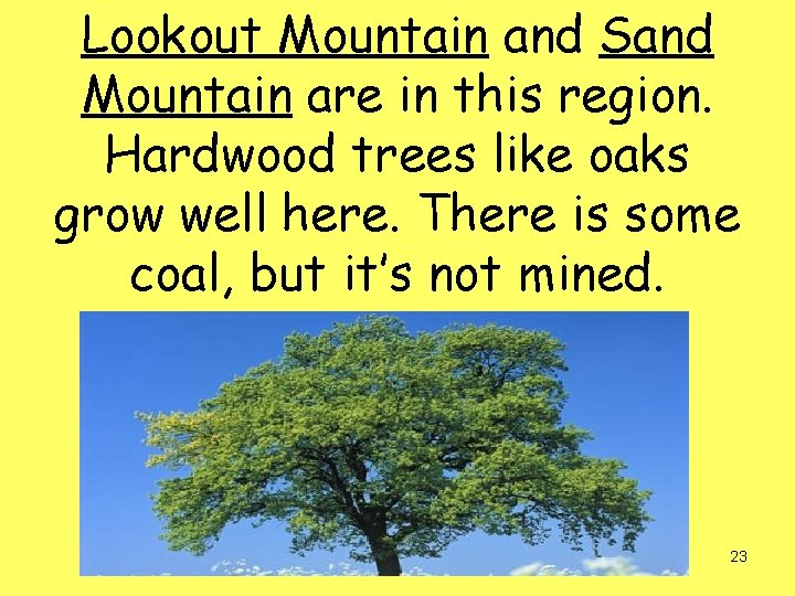 Lookout Mountain and Sand Mountain are in this region. Hardwood trees like oaks grow