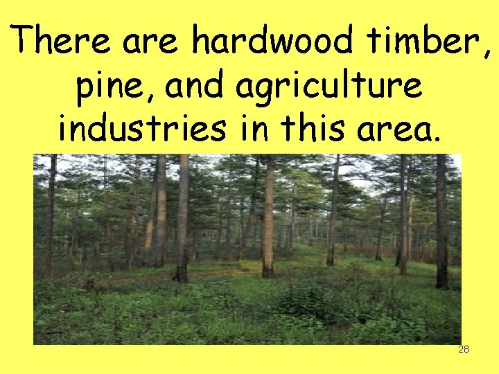 There are hardwood timber, pine, and agriculture industries in this area. 28 