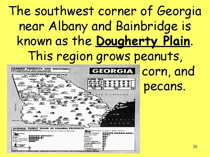 The southwest corner of Georgia near Albany and Bainbridge is known as the Dougherty