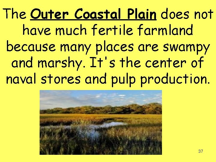 The Outer Coastal Plain does not have much fertile farmland because many places are