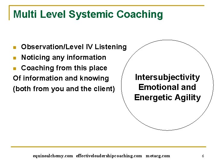 Multi Level Systemic Coaching Observation/Level IV Listening n Noticing any information n Coaching from