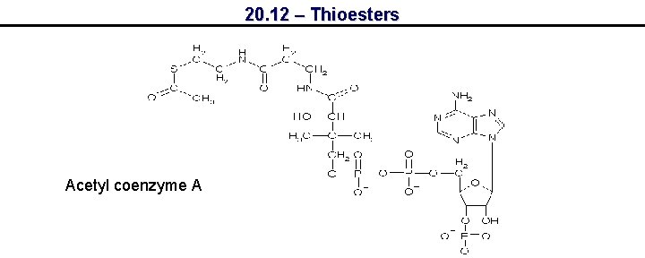 20. 12 – Thioesters Acetyl coenzyme A 