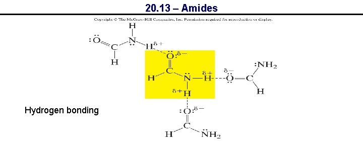 20. 13 – Amides Hydrogen bonding 