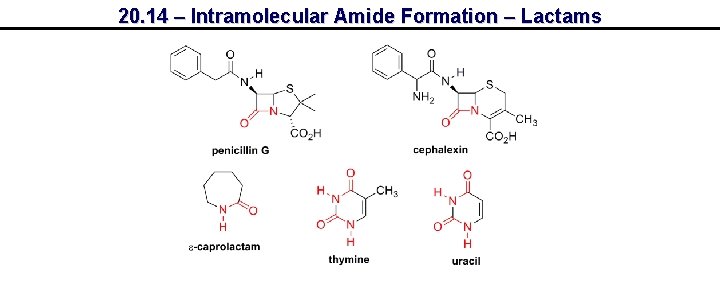 20. 14 – Intramolecular Amide Formation – Lactams 