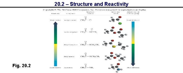 20. 2 – Structure and Reactivity Fig. 20. 2 