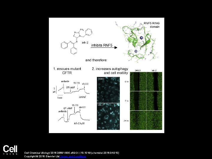 Cell Chemical Biology 2018 25891 -905. e 8 DOI: (10. 1016/j. chembiol. 2018. 04.