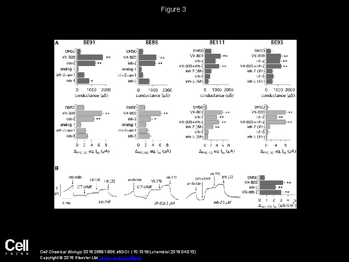 Figure 3 Cell Chemical Biology 2018 25891 -905. e 8 DOI: (10. 1016/j. chembiol.