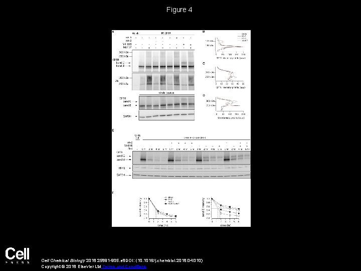 Figure 4 Cell Chemical Biology 2018 25891 -905. e 8 DOI: (10. 1016/j. chembiol.