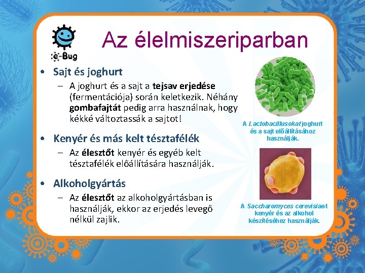 Az élelmiszeriparban • Sajt és joghurt – A joghurt és a sajt a tejsav