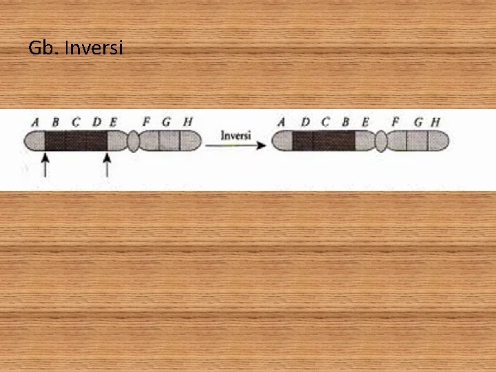 Gb. Inversi 