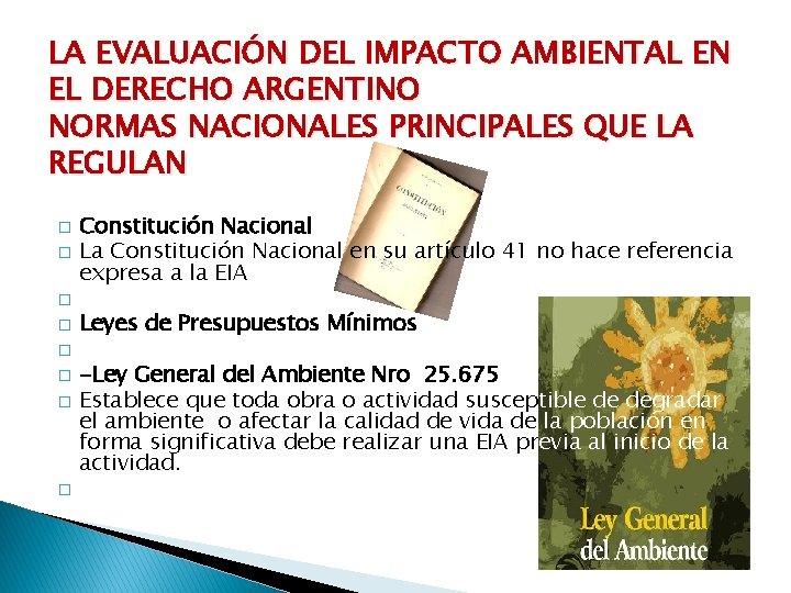 LA EVALUACIÓN DEL IMPACTO AMBIENTAL EN EL DERECHO ARGENTINO NORMAS NACIONALES PRINCIPALES QUE LA
