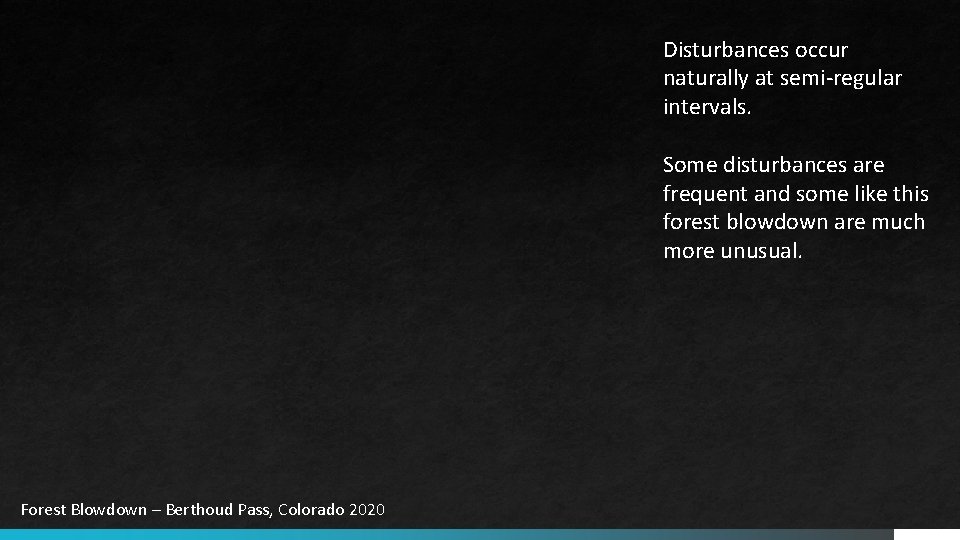 Disturbances occur naturally at semi-regular intervals. Some disturbances are frequent and some like this Disturbances occur naturally at semi-regular intervals. Some disturbances are frequent and some like this