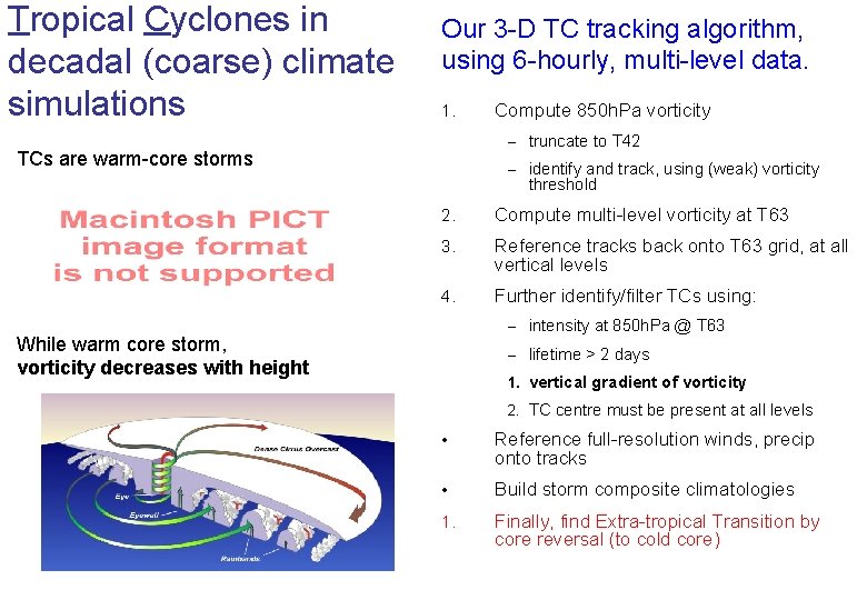Tropical cyclones in global climate models the role